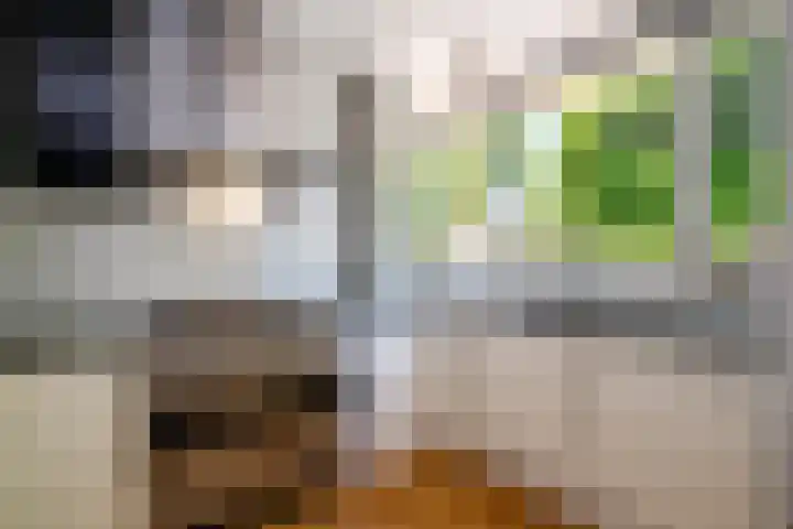 Seine 89 Nieuwerkerk aan den IJssel thumbnail 17