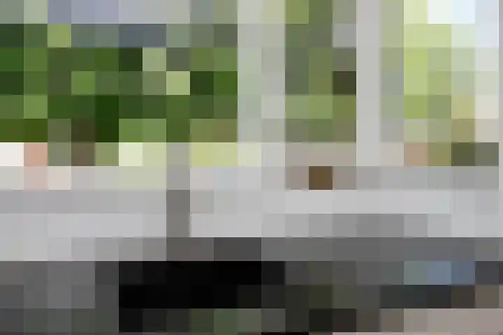 Seine 89 Nieuwerkerk aan den IJssel thumbnail 20