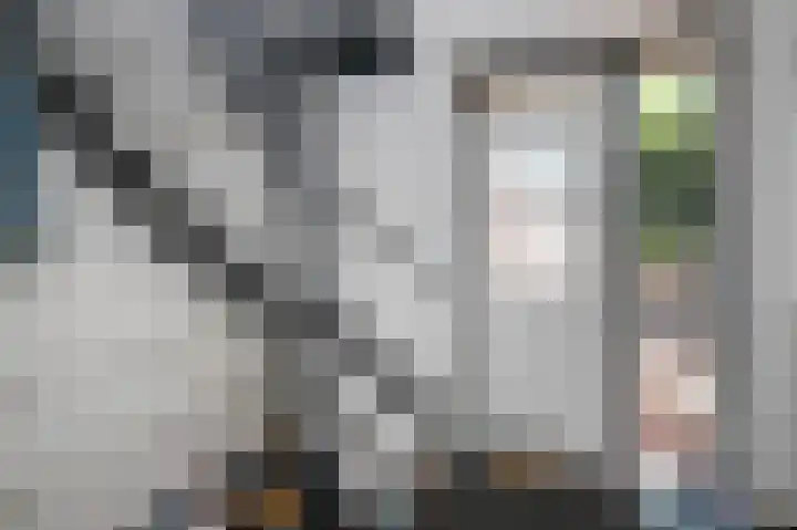 Seine 89 Nieuwerkerk aan den IJssel thumbnail 22