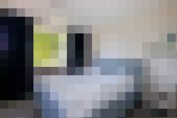 Seine 89 Nieuwerkerk aan den IJssel thumbnail 26