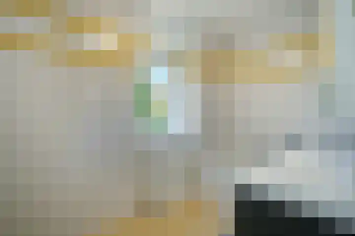Seine 89 Nieuwerkerk aan den IJssel thumbnail 28
