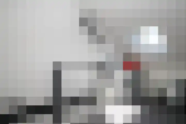 Seine 89 Nieuwerkerk aan den IJssel thumbnail 32