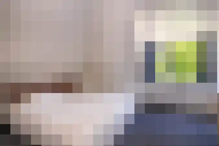 Seine 89 Nieuwerkerk aan den IJssel thumbnail 34