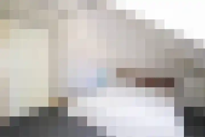 Seine 89 Nieuwerkerk aan den IJssel thumbnail 35