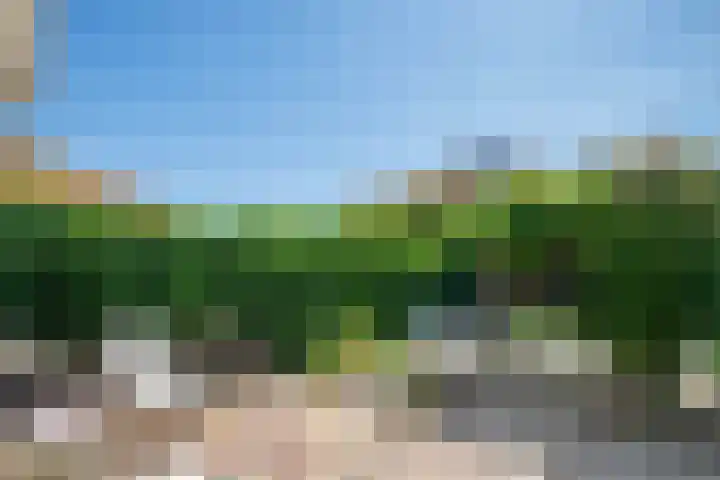 Seine 89 Nieuwerkerk aan den IJssel thumbnail 36