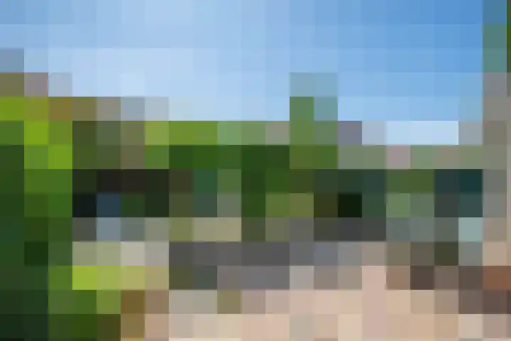 Seine 89 Nieuwerkerk aan den IJssel thumbnail 38