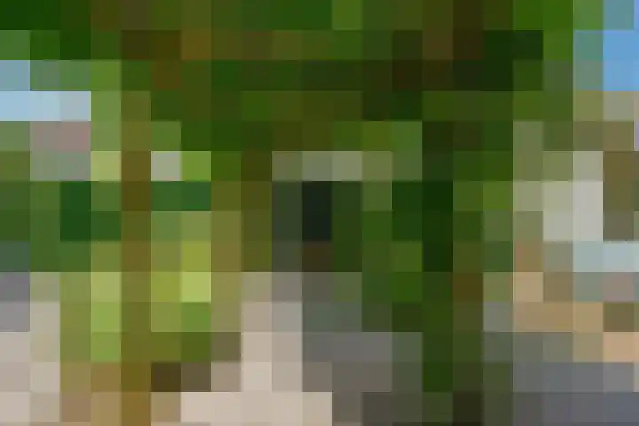 Seine 89 Nieuwerkerk aan den IJssel thumbnail 39