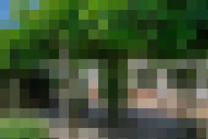 Seine 89 Nieuwerkerk aan den IJssel thumbnail 40