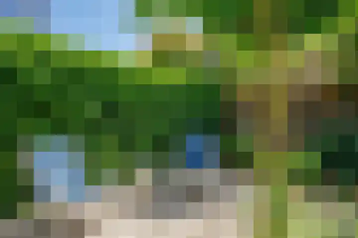 Seine 89 Nieuwerkerk aan den IJssel thumbnail 41