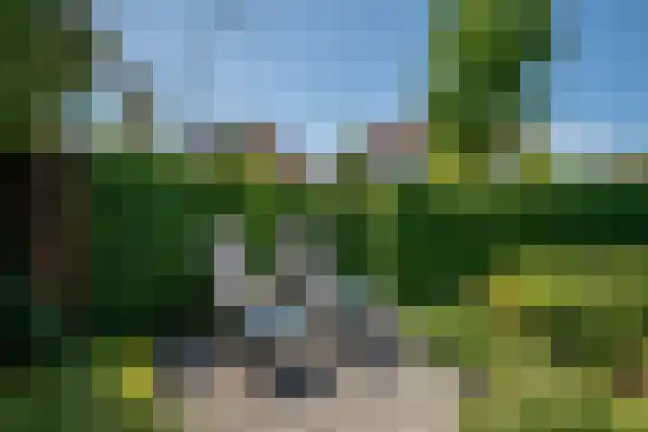 Seine 89 Nieuwerkerk aan den IJssel thumbnail 42