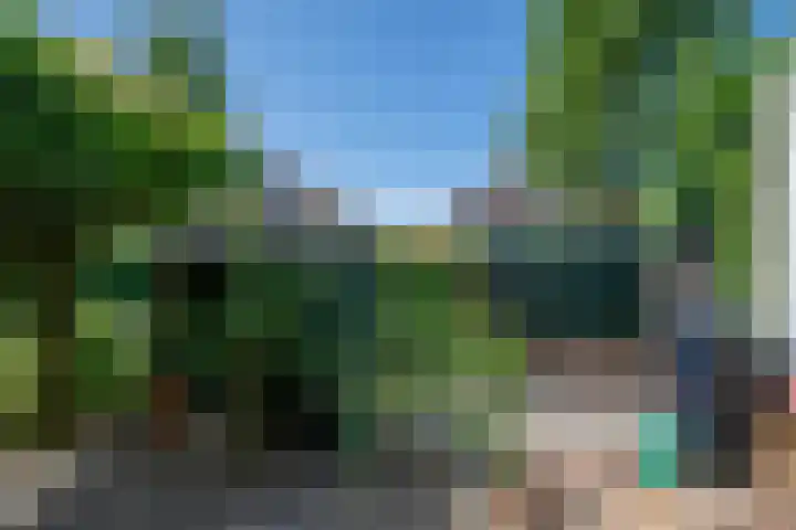 Seine 89 Nieuwerkerk aan den IJssel thumbnail 45