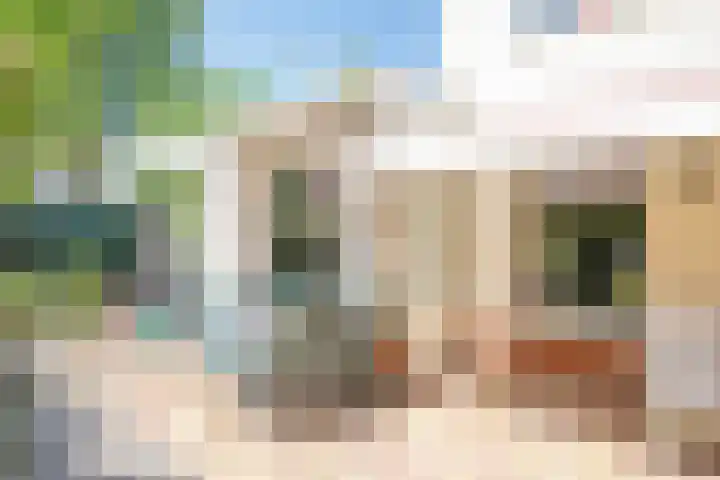 Seine 89 Nieuwerkerk aan den IJssel thumbnail 48