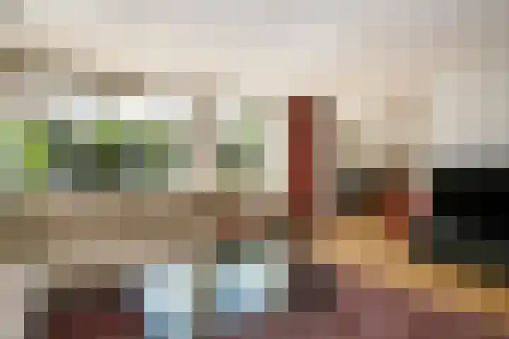 Seine 89 Nieuwerkerk aan den IJssel thumbnail 5