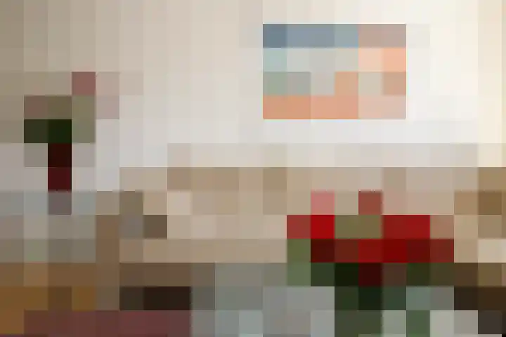 Seine 89 Nieuwerkerk aan den IJssel thumbnail 6