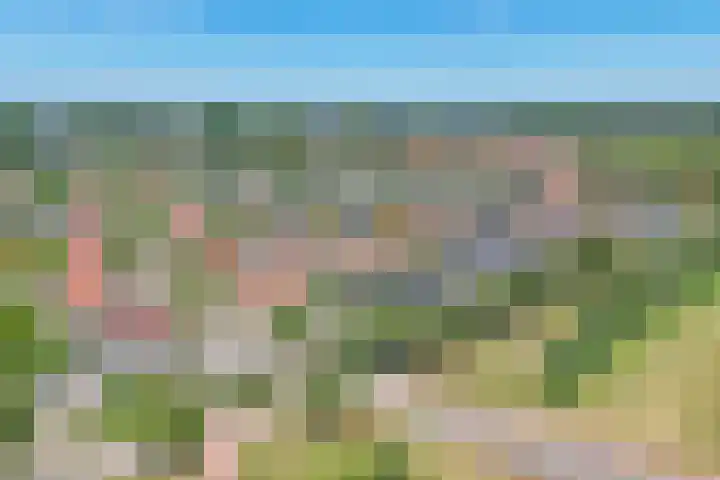 Seine 89 Nieuwerkerk aan den IJssel thumbnail 61