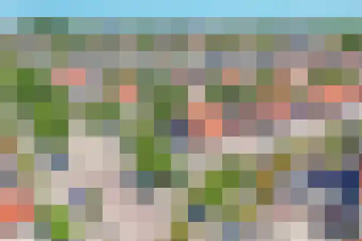 Seine 89 Nieuwerkerk aan den IJssel thumbnail 63