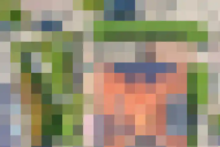 Seine 89 Nieuwerkerk aan den IJssel thumbnail 64