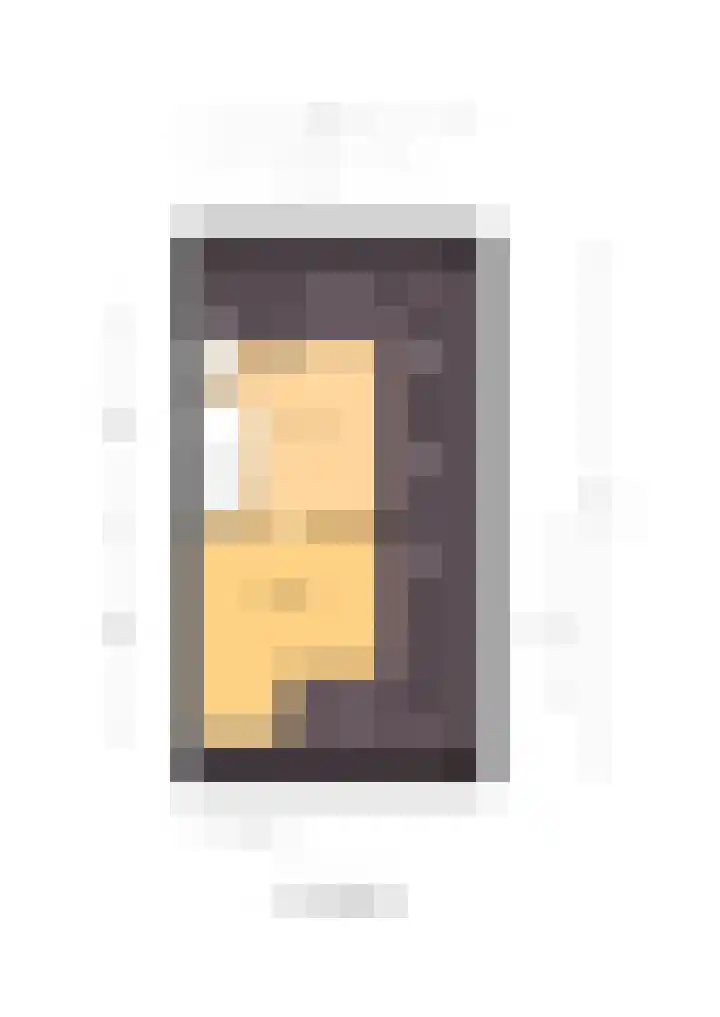 Seine 89 Nieuwerkerk aan den IJssel thumbnail 68