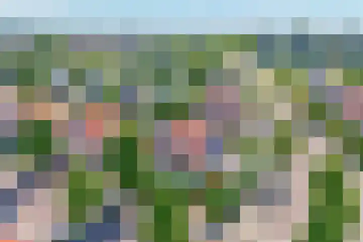 Seine 89 Nieuwerkerk aan den IJssel thumbnail 70
