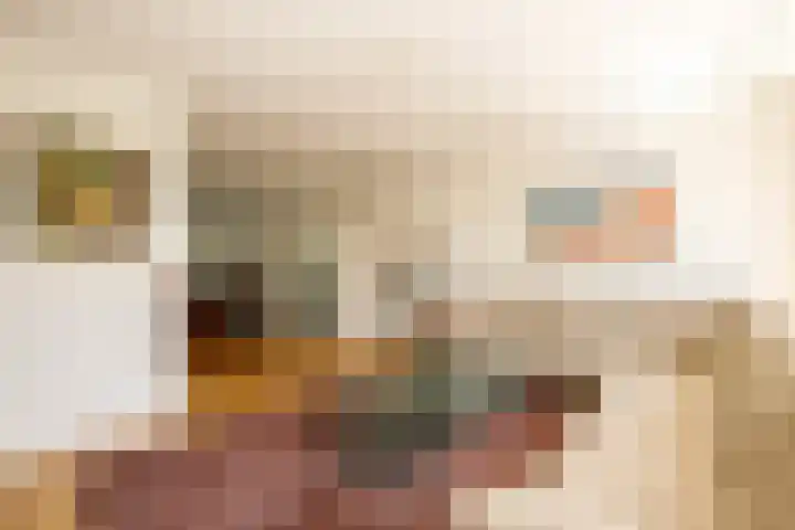 Seine 89 Nieuwerkerk aan den IJssel thumbnail 8