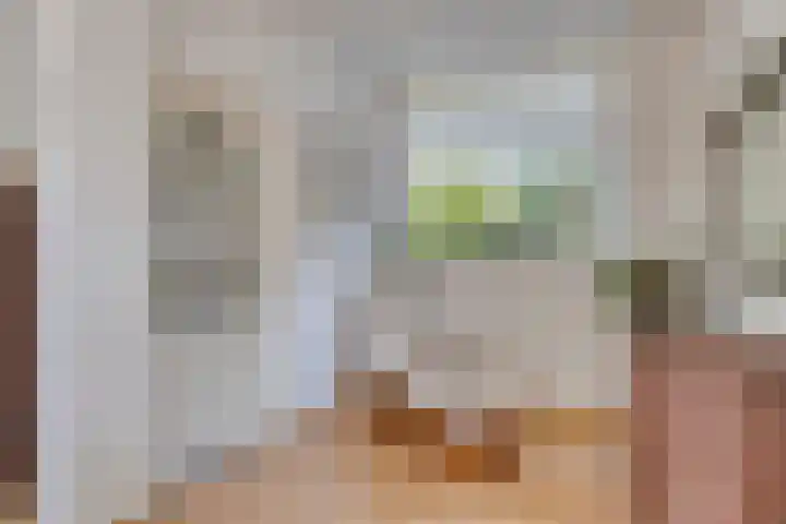 Seinehof 1 Veldhoven thumbnail 12