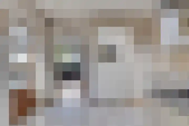 Seinehof 1 Veldhoven thumbnail 14