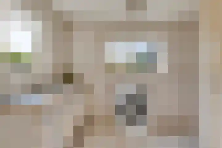 Seinehof 1 Veldhoven thumbnail 15