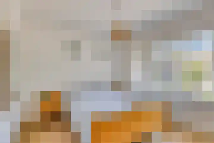 Seinehof 1 Veldhoven thumbnail 23