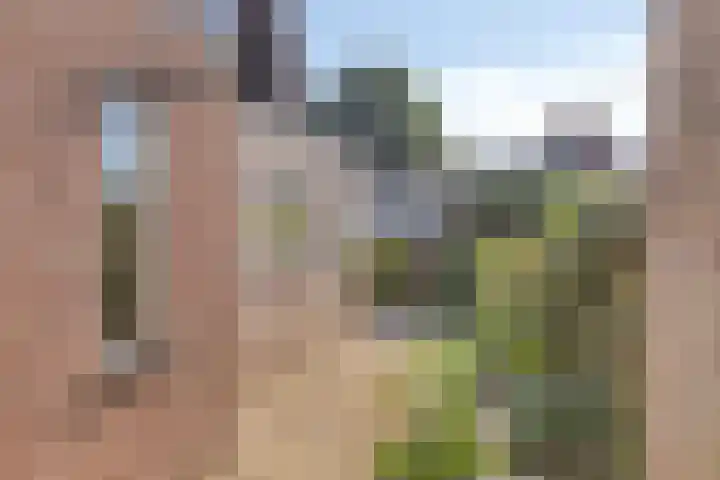 Seinehof 1 Veldhoven thumbnail 33