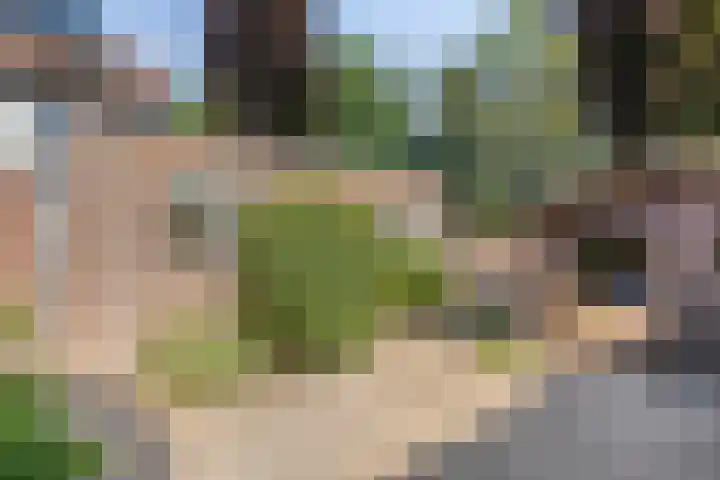 Seinehof 1 Veldhoven thumbnail 34