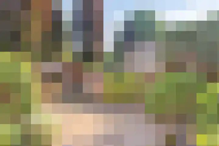 Seinehof 1 Veldhoven thumbnail 35