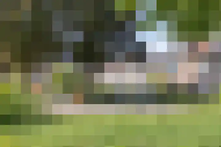 Seinehof 1 Veldhoven thumbnail 38