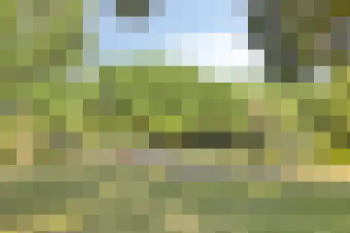 Seinehof 1 Veldhoven thumbnail 39
