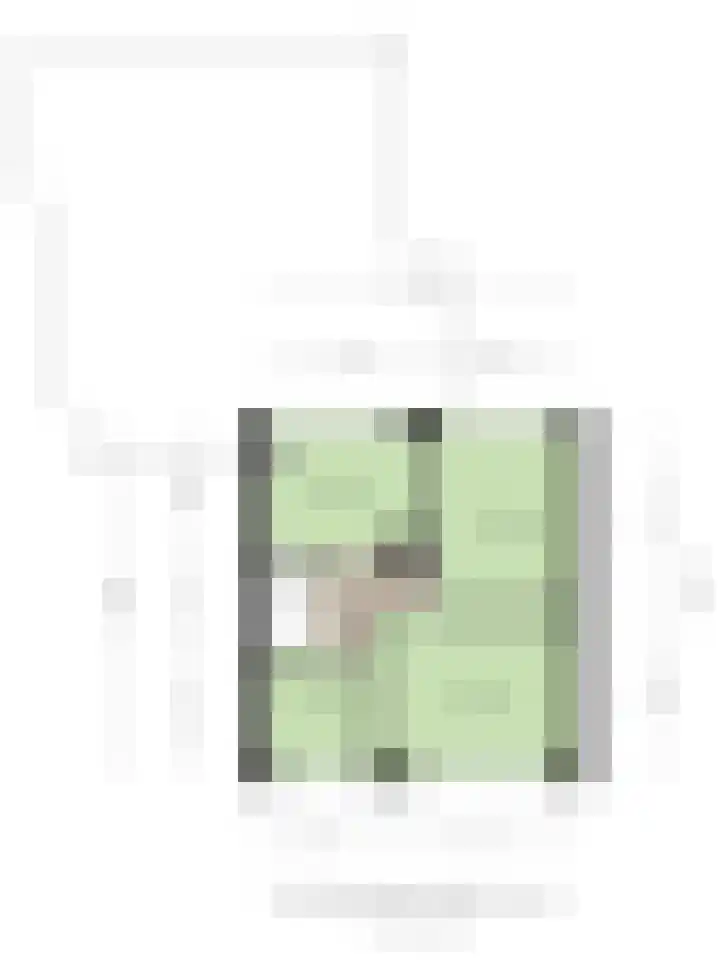 Seinehof 1 Veldhoven thumbnail 41