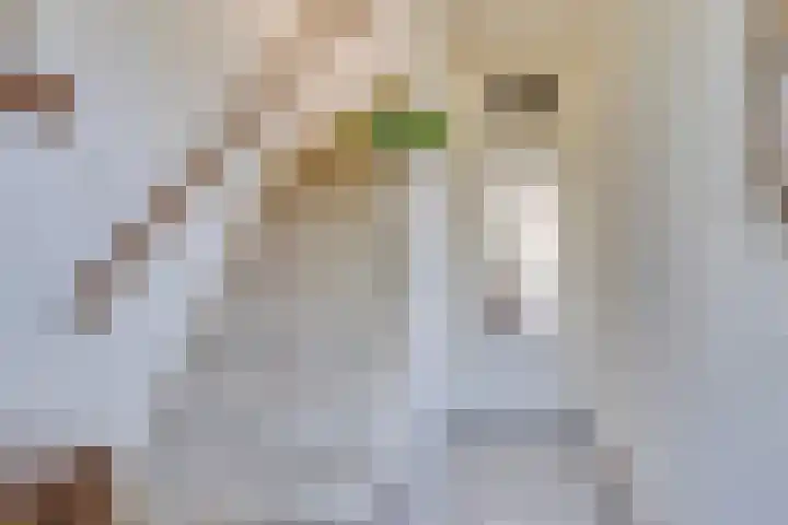 Seinehof 1 Veldhoven thumbnail 7