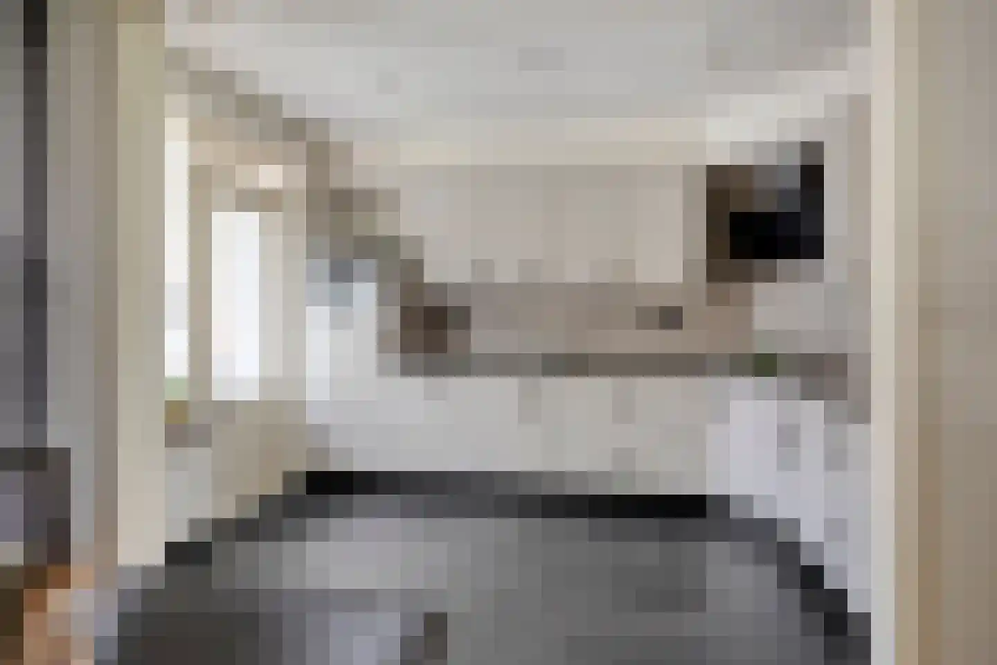 Seinehof 12 Veghel thumbnail 12