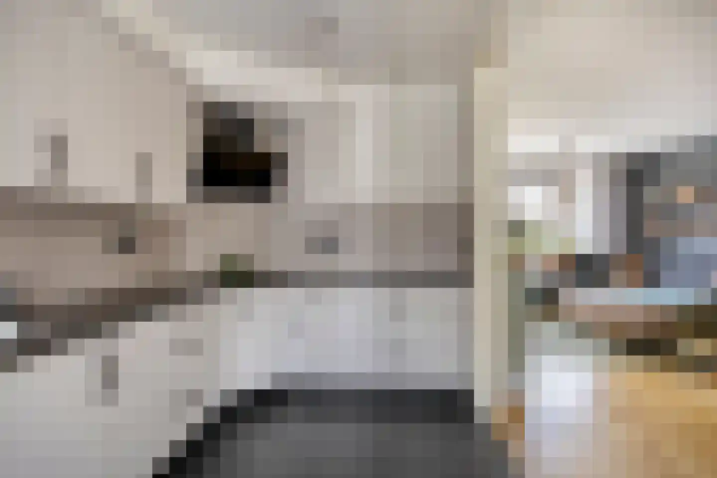 Seinehof 12 Veghel thumbnail 13