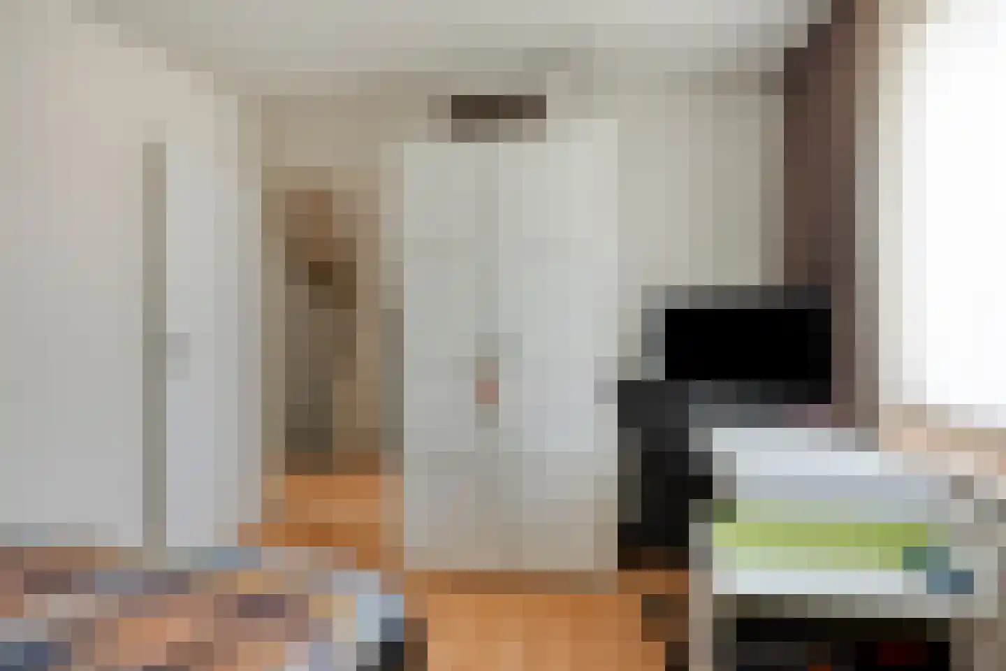 Seinehof 12 Veghel thumbnail 19