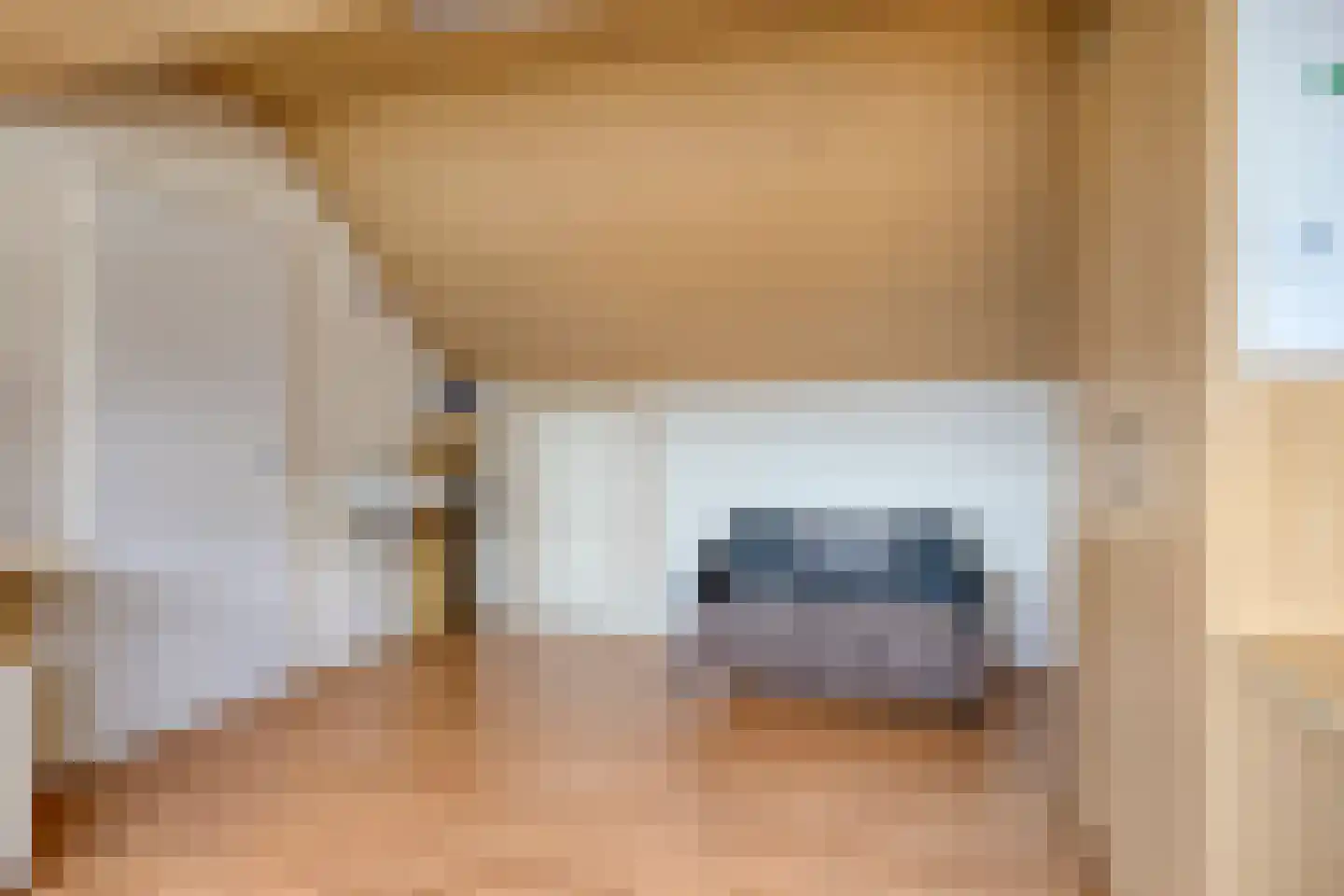 Seinehof 12 Veghel thumbnail 25