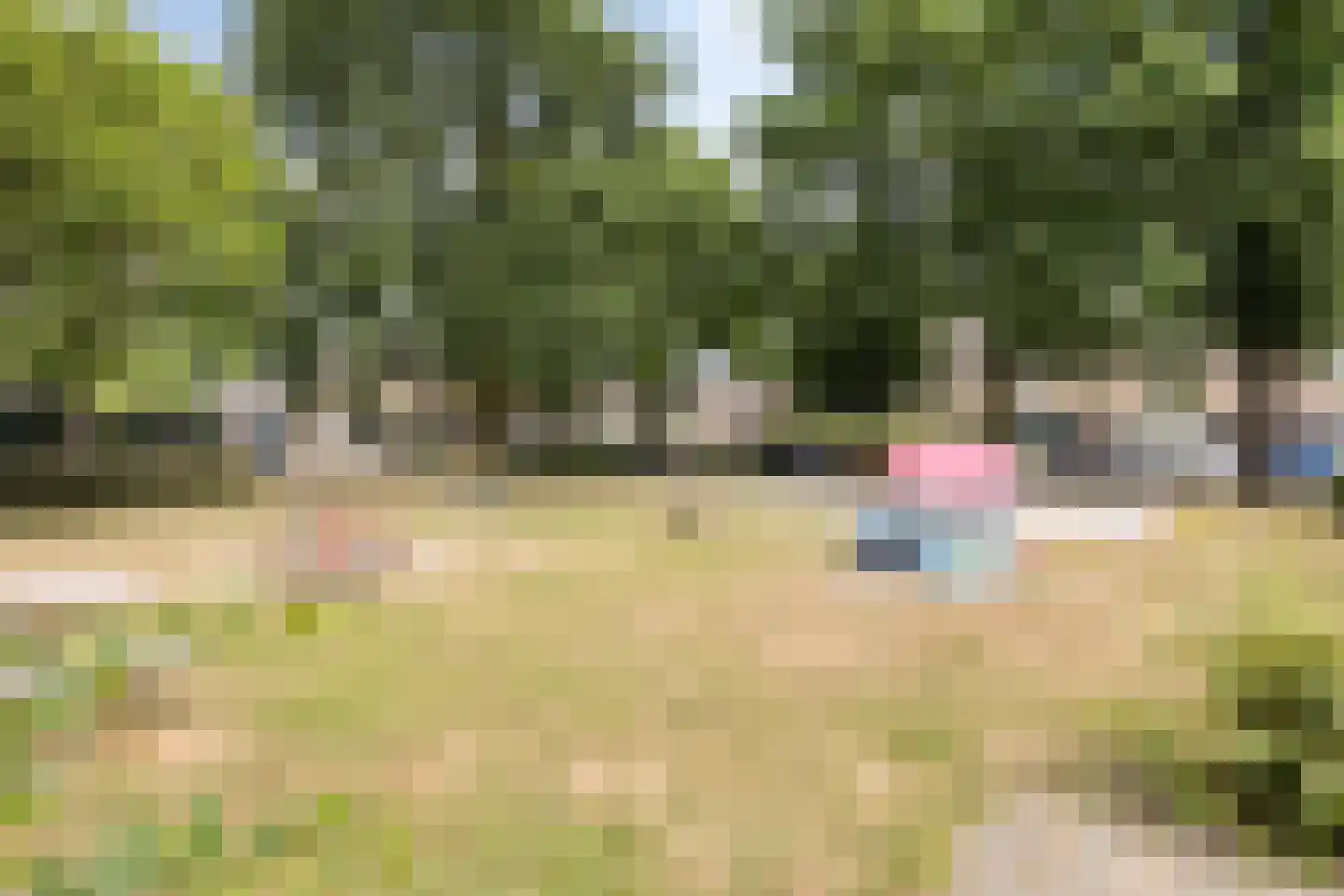 Seinehof 12 Veghel thumbnail 39