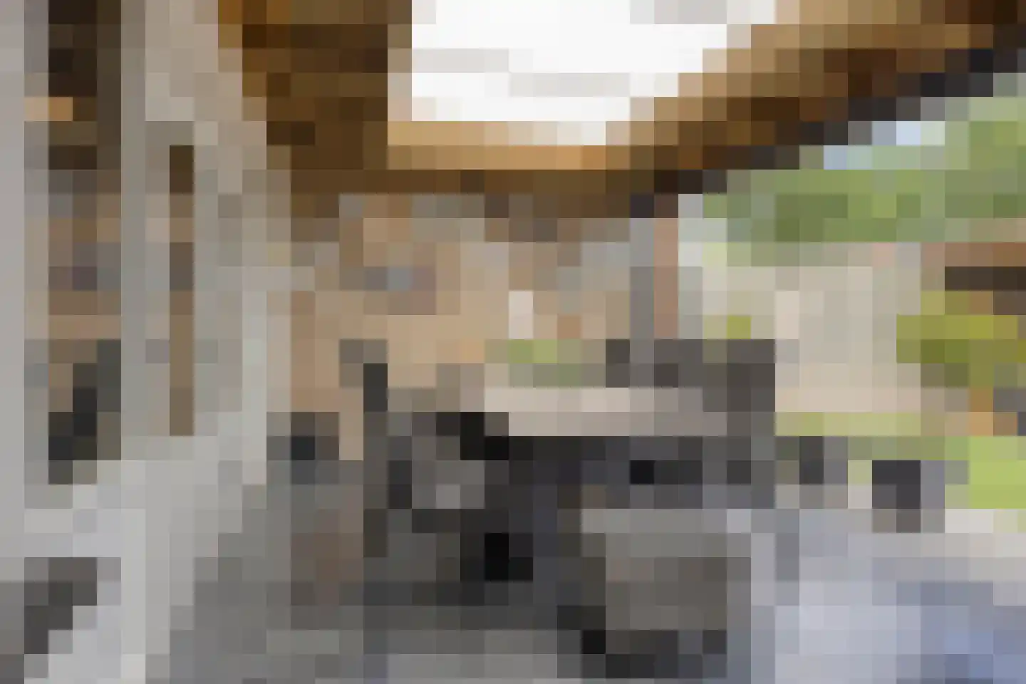 Seinehof 12 Veghel thumbnail 4