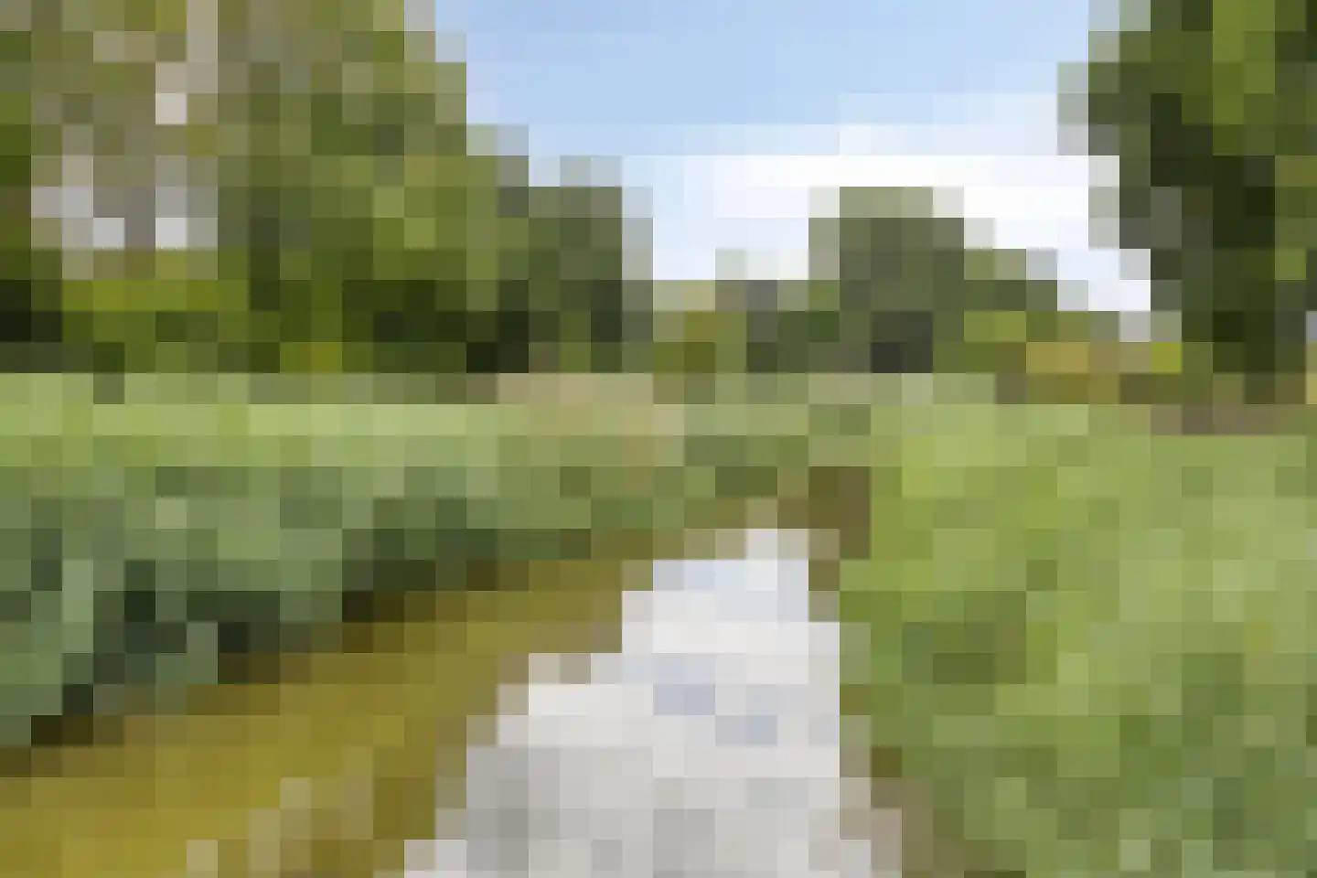 Seinehof 12 Veghel thumbnail 40
