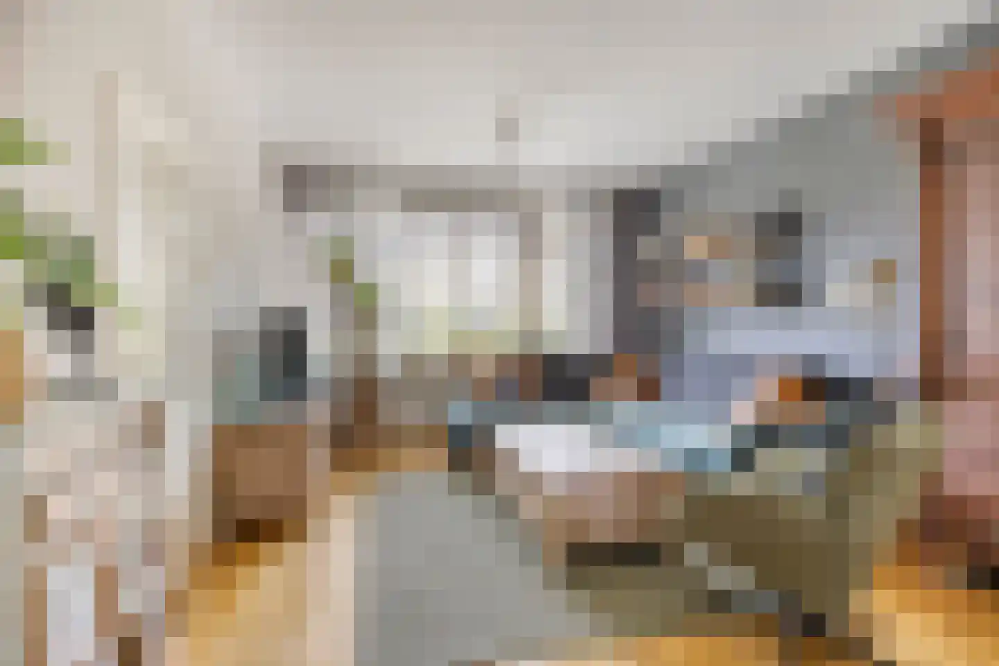 Seinehof 12 Veghel thumbnail 9