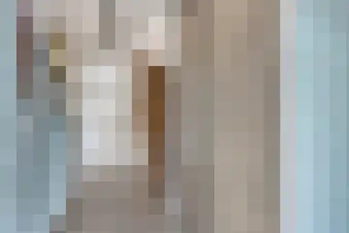 Seinehof 15 Veldhoven thumbnail 12