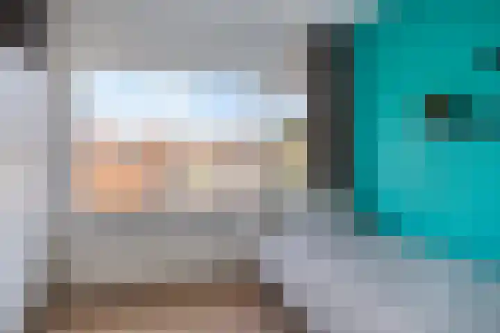 Seinehof 15 Veldhoven thumbnail 17