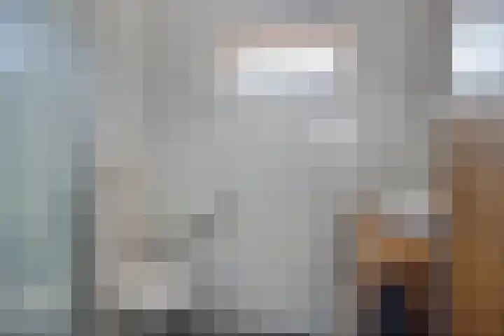 Seinehof 15 Veldhoven thumbnail 19