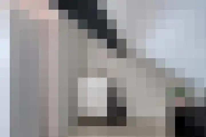 Seinehof 15 Veldhoven thumbnail 26