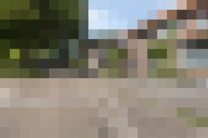 Seinehof 15 Veldhoven thumbnail 32