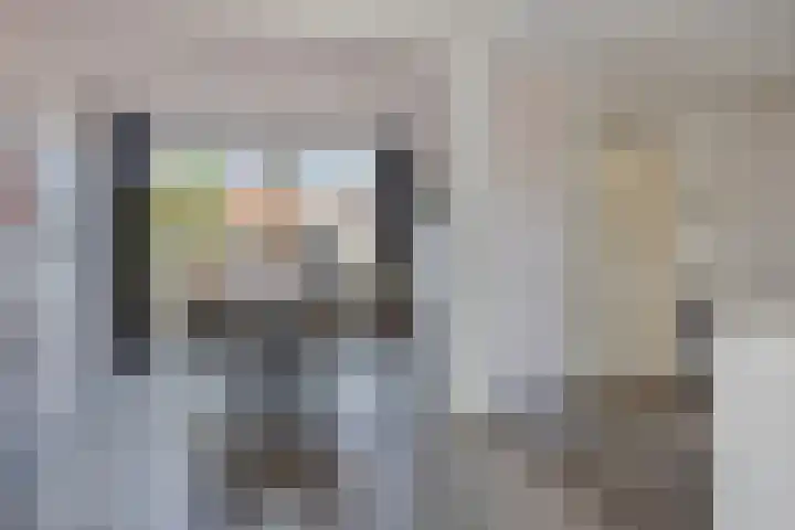 Seinehof 15 Veldhoven thumbnail 5