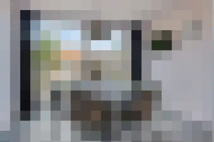 Seinehof 15 Veldhoven thumbnail 6